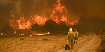 Greenpeace cuestiona a Espaa por la de falta medidas de mitagacin -e impuestos- en el Pacto Climtico propuesto por el presidente Snchez