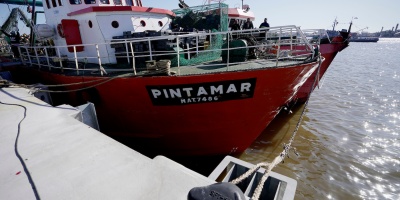 Empresarios de la pesca estiman que prxima semana estarn operando con normalidad 