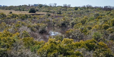 Federacin Rural rechaza construccin de la represa de Casup 