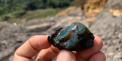 Descubren el primer depsito de mbar del Mesozoico con insectos preservados en Sudamrica
