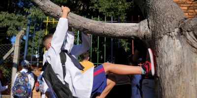 Unos 115.506 nios matriculados en la Educacin Pblica no tenan el carn de aptitud fsica al da