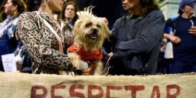 Plataforma Animalista se moviliza bajo la consigna "Los Animales No son Cosas