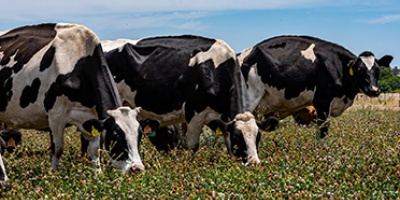 Conaprole seleccionada como finalista en los IDF Dairy Innovation Awards 2025