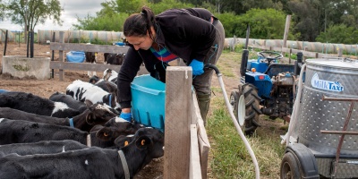 En el Da Internacional de la Mujer Rural se busca reivindicar el rol que cumplen en el sector