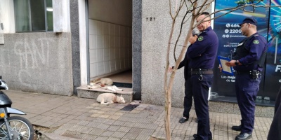 No existe otra cosa que "aplicar eutanasia", dijo el intendente de Cerro Largo a raz de los ataques de jauras de perros