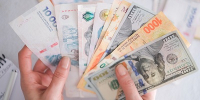 Gobierno e inversores ponen su atencin en el dlar