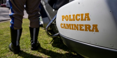Dos personas murieron, 69 resultaron heridas graves y 529 leves en accidentes de trnsito que involucraron animales en 2025