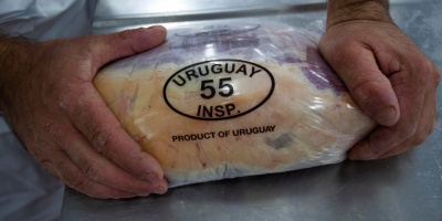 La conflictividad en el Puerto de Montevideo le est generando prdidas millonarias a la industria frigorfica 