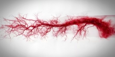 Descubren cambios en el ADN que explican la inflamacin crnica de las arterias a partir de los 50 aos