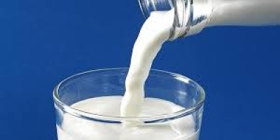 Trabajadores de la Industria Lctea paran este viernes; pueden escasear productos
