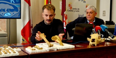 Espaa: Hallan los primeros restos de osos cavernarios