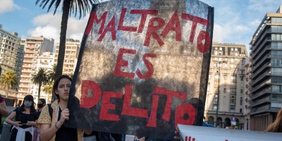 Desde el Instituto de Bienestar Animal reclaman mayor legislacin para la violencia contra los animales