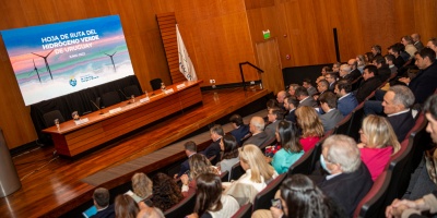 Intendente de Paysand calific como el mojn ms firme autorizacin de Ambiente para la localizacin de planta de hidrgeno verde