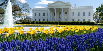  Disparan contra dos agentes de la Guardia Nacional de EEUU en un tiroteo cerca de la Casa Blanca