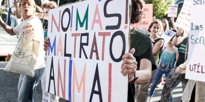 Desde las protectoras animalistas repudian los dichos del intendente de Cerro Largo sobre las jauras de perros