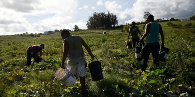 Desde la Federacin Rural lamentan no haber llegado a un acuerdo en la negociacin colectiva y esperan que el Gobierno laude