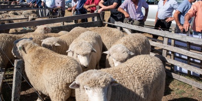 El presidente de la Federacin Rural afirm que, tras la ley de presupuesto, el atraso cambiario va a continuar en este quinquenio