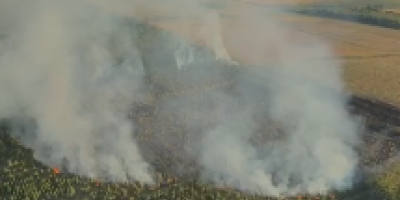Bomberos control el incendio forestal iniciado este viernes en Canelones