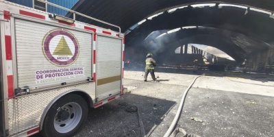 Diez personas fallecieron en un accidente a�reo en el centro de M�xico