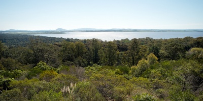 Maldonado: Autoridades advierten por presencia de cianobacterias en Laguna del Sauce