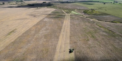 Oposici�n reclama al Gobierno que decrete la emergencia agropecuaria para los departamentos del Sur y este del pa�s