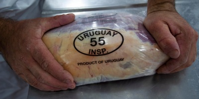 Las exportaciones de bienes en 2025 alcanzaron el registro m�s alto de la �ltima d�cada; con un crecimiento acumulado anual de 5 %