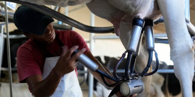 Los productores lecheros sostienen que las declaraciones de Fratti fueron infelices y equivocadas sobre la deuda de Venezuela 