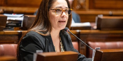 Licencia paternal ser� de hasta 20 d�as: "Es un hito para nuestra seguridad social", dijo su impulsora