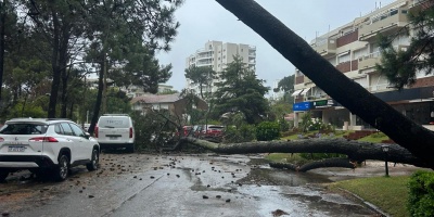 Temporal provoca da�os en Jose Ignacio y Punta del Este