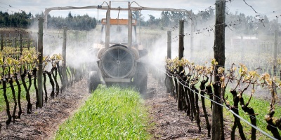 El Gobierno estudia los pedidos del Ministerio de Ganader�a para los productores rurales