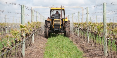 El Instituto Nacional de Colonizaci�n resolvi� dar cr�ditos de 2 mil d�lares para los productores familiares ante el d�ficit h�drico