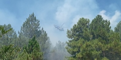 Bomberos control� incendio forestal en zona de La Esmeralda y Laguna Negra