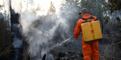 El incendio en Rocha, cerca de Punta del Diablo, est� controlado