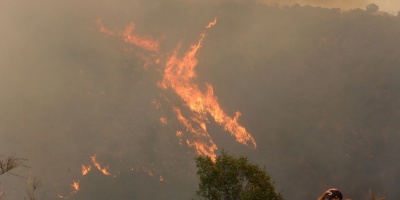 21 muertos y m�s de una decena de detenidos por los incendios en Chile