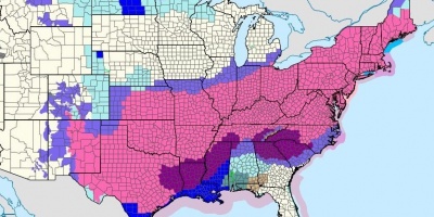 Cerca de 700.000 clientes sin electricidad y 10.000 vuelos cancelados en Estados Unidos por tormenta con temperaturas bajo cero