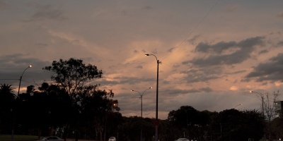 Presencia de ratas en el Parque Rod�, la comuna explic� los motivos