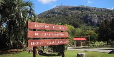 La Estaci�n de Cr�a de Fauna Aut�ctona del Cerro Pan de Az�car contin�a cerrada al p�blico tras el accidente