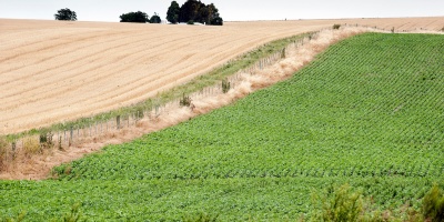 El INIA firm� acuerdos con instituciones chinas para promover investigaciones en cultivos de soja, pastizales y movilidad cient�fica