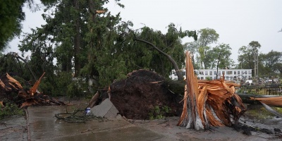 Cuarenta y dos familias fueron afectadas por el temporal que azot� a la localidad de Porvenir esta madrugada