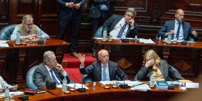 Duro cruce entre la oposici�n y el oficialismo en el Senado por afirmaciones de una legisladora suplente del Frente Amplio