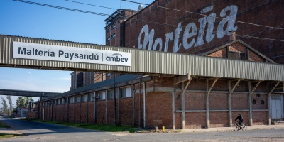 La multinacional AmBev enviar� al seguro de paro al 90 por ciento de sus trabajadores en Paysand� por dos meses