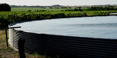 El Gobierno decret� la Emergencia Agropecuaria por d�ficit h�drico en diversas zonas del pa�s por 90 d�as