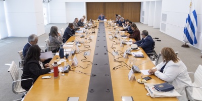 Juan Castillo present� este lunes ante el Consejo de Ministros un boceto del proyecto de ley de trabajo juvenil