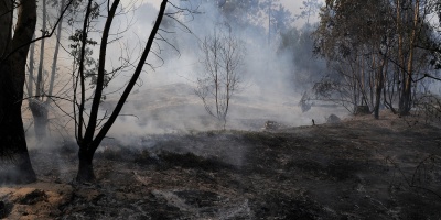 Bomberos extingui� incendio en un campo de Garz�n 