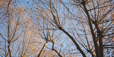 El Oto�o ser� corto y con calor hasta mayo