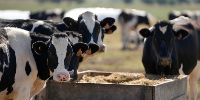 Los colonos lecheros del norte del pa�s tendr�n una rebaja del 12% en la renta de sus campos