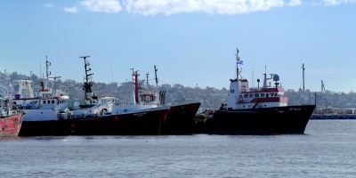 El Gobierno estudia atenuar el incremento del gasoil marino