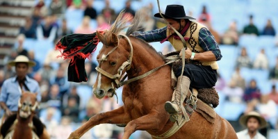 Plataforma Animalista junta firmas para prohibir jineteadas en Montevideo
