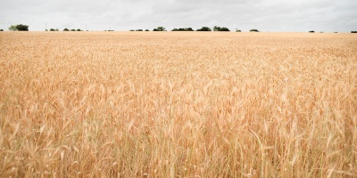 Los cr�ditos de Ande para atenuar la suba del precio de los combustibles alcanzar�a a unos 1500 productores agropecuarios