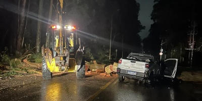 Falleci� un conductor en Maldonado tras colisionar con un �rbol ca�do a ra�z del temporal; adem�s lo choc� por detr�s otro veh�culo